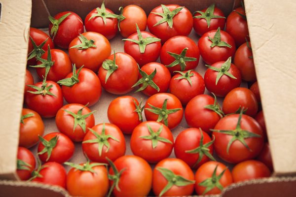 red-fresh-tomatoes-gathered-into-cardboaard-box-sale