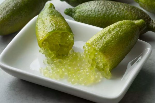Citron caviar